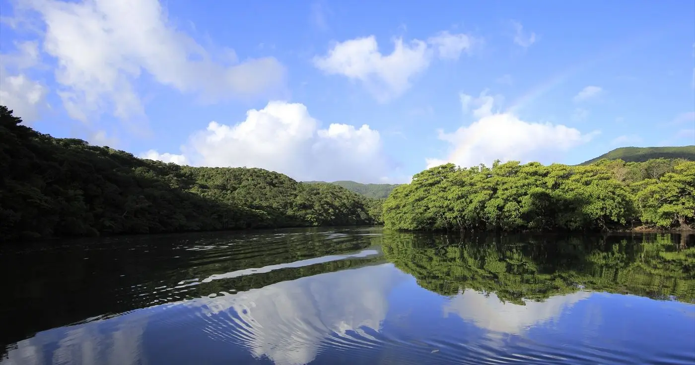 世界遺産旅行はしろくまツアーWBF