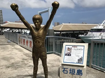 沖縄｜【はぴるコース】西表島・由布島2島巡り