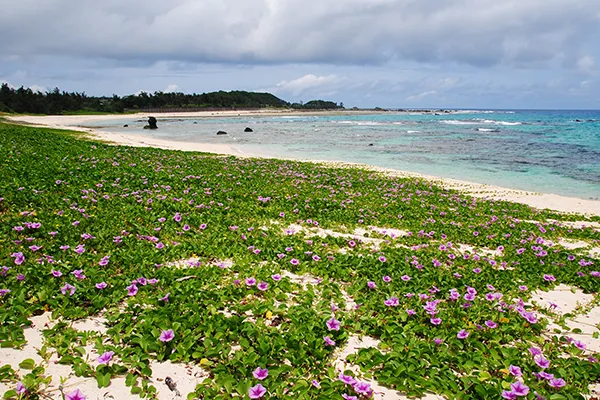 奄美大島｜土盛海岸