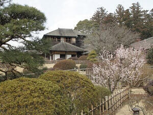 水戸偕楽園/徳川ミュージアム