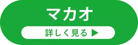 社員旅行革命｜マカオ