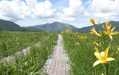 社員旅行革命｜関東・尾瀬国立公園