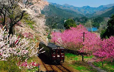 社員旅行革命｜関東・わたらせ渓谷鉄道