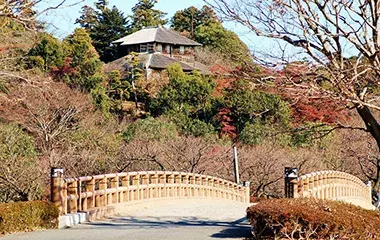 社員旅行革命｜関東・偕楽園