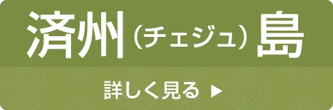 社員旅行革命｜韓国・済州島