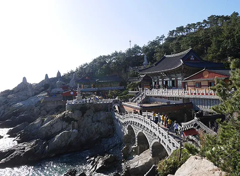 社員旅行革命｜韓国・海東龍宮寺