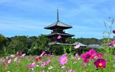 社員旅行革命｜関西・法隆寺