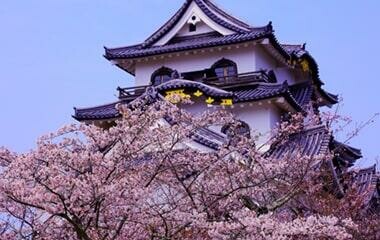 社員旅行革命｜関西・彦根城