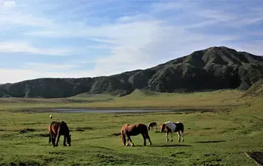 社員旅行革命｜九州・阿蘇山