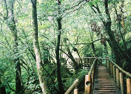 社員旅行革命｜九州・離島