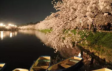 社員旅行革命｜東北・弘前城