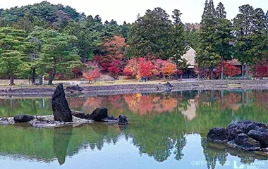 社員旅行革命｜東北・毛越寺