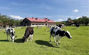 社員旅行革命｜東北・小岩井農場