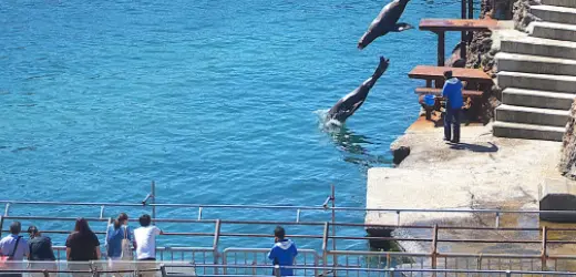 北海道｜DPおたる水族館