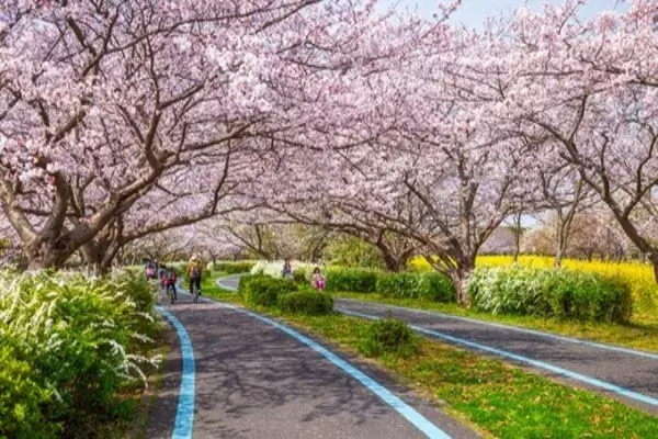 福岡｜海の中道海浜公園