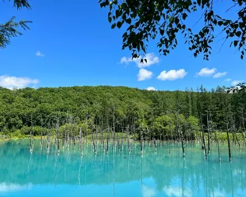 北海道｜青い池