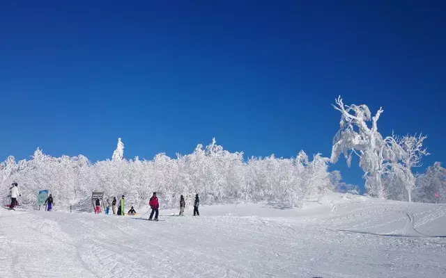 北海道｜カムイ