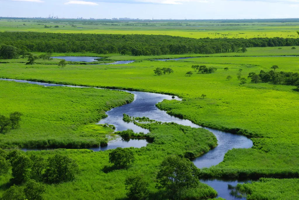 北海道｜釧路湿原