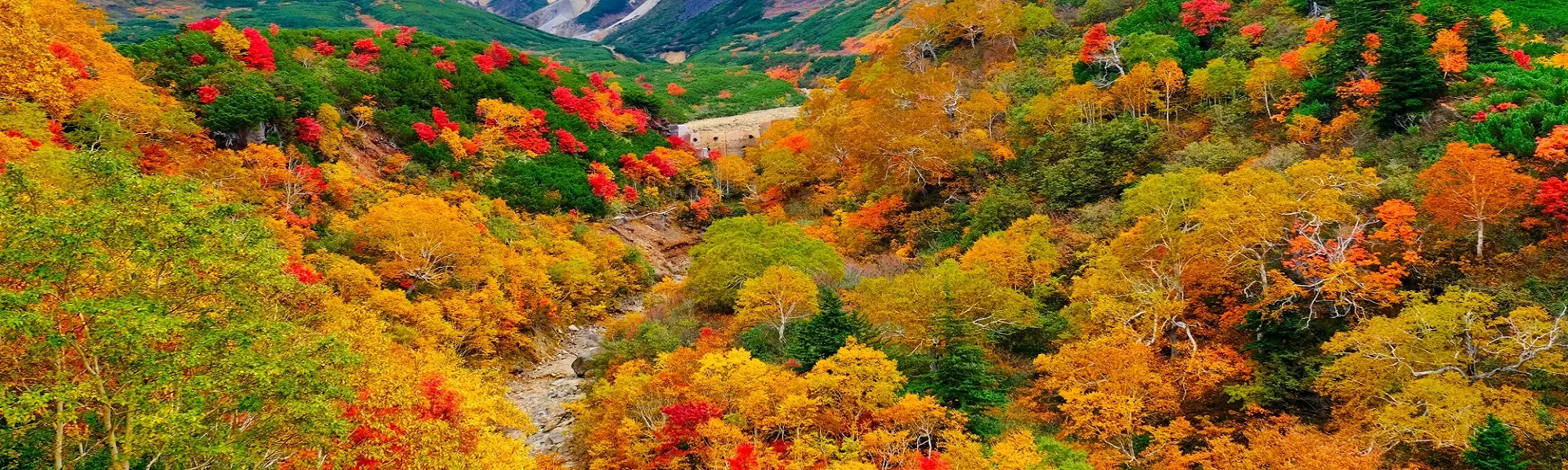 出発月で選ぶ北海道旅行｜10月