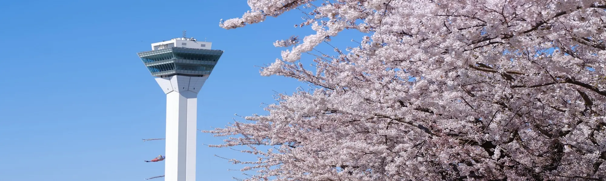 4月のおすすめ北海道旅行・ツアー特集