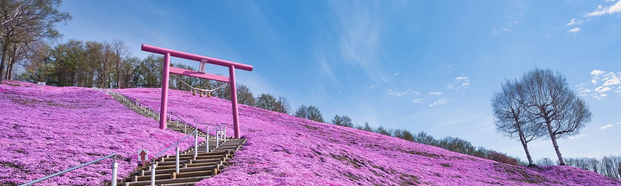 5月のおすすめ北海道旅行・ツアー特集