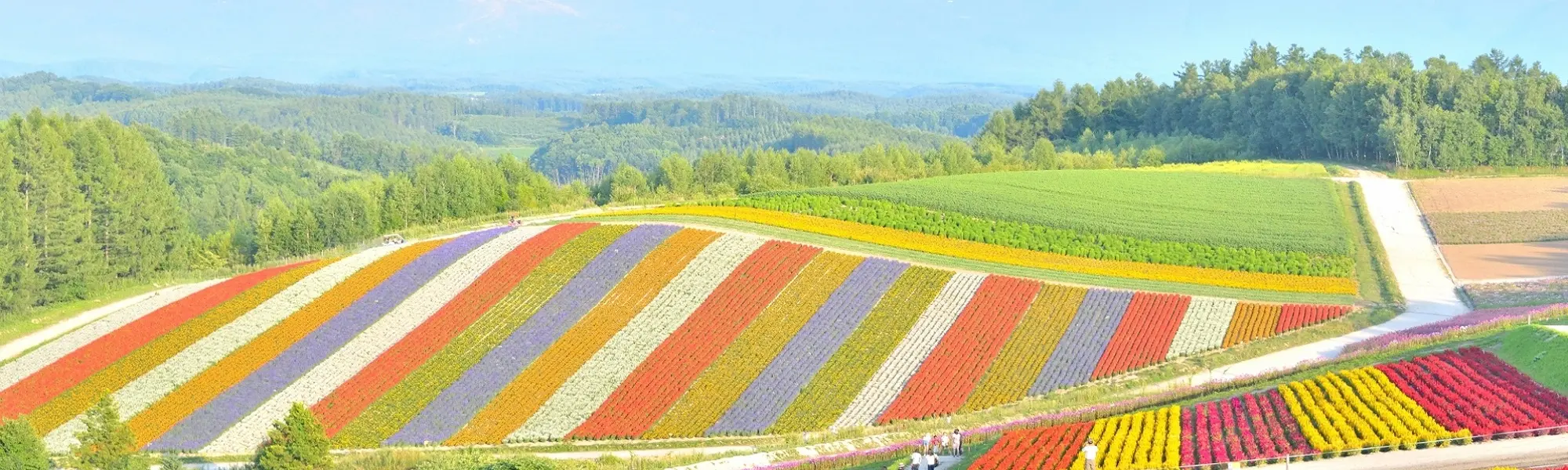 8月のおすすめ北海道旅行・ツアー特集