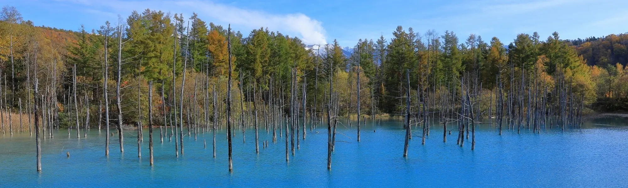 出発月で選ぶ北海道旅行｜9月