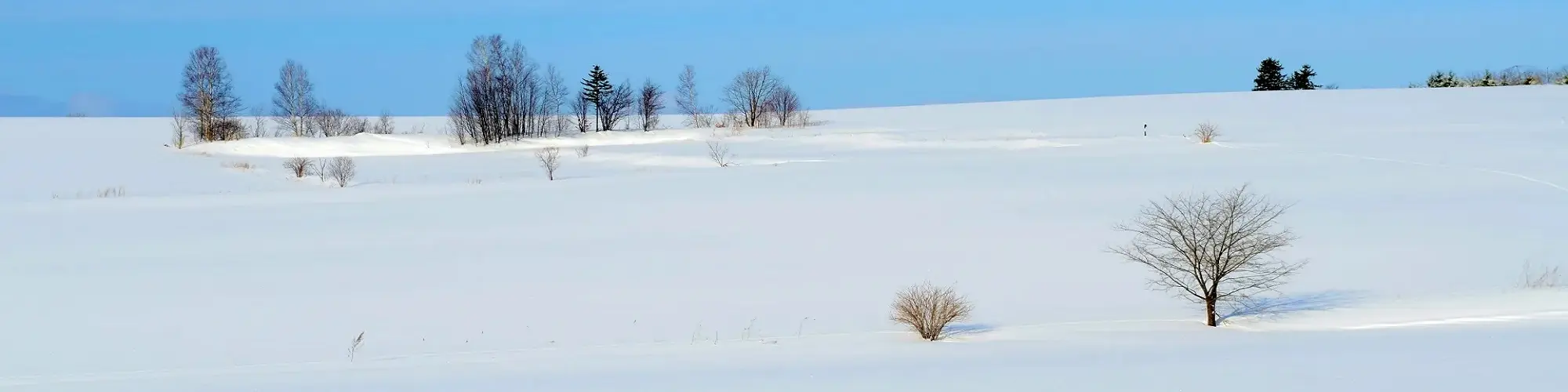 出発月で選ぶ北海道旅行｜1月のツアー