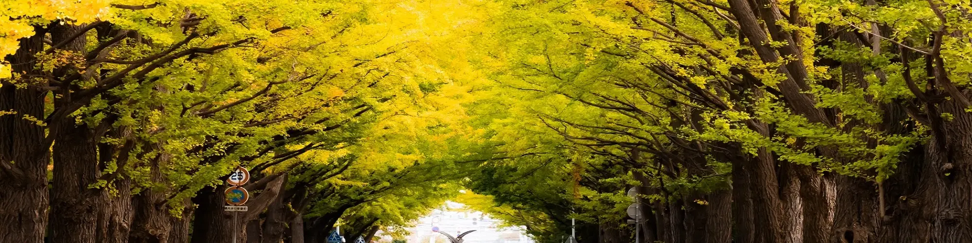 出発月で選ぶ北海道旅行｜11月のツアー