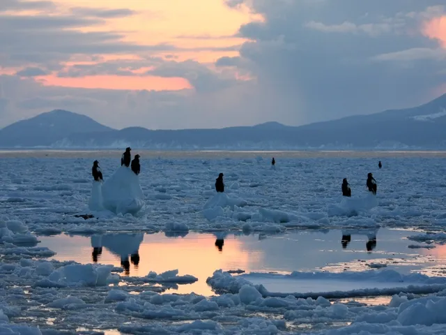 北海道｜流氷