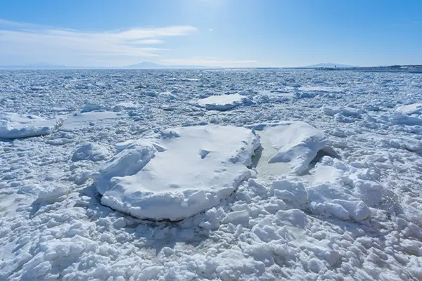 北海道｜流氷特集