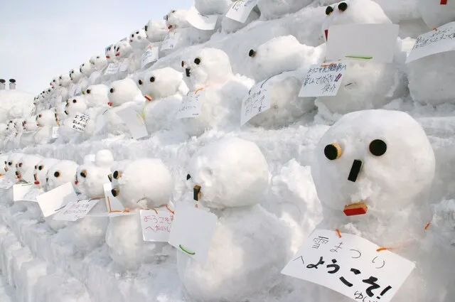 北海道｜雪まつりつどーむ