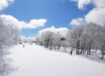 北海道スキー&スノーボード特集｜函館七飯スノーパークゲレンデ