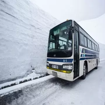 北海道｜家族でスキー・スノボプランのおススメポイント