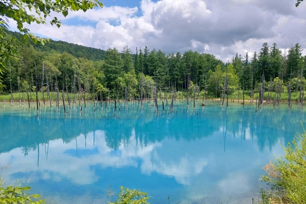 北海道旅行のモデルコース特集！プロが選ぶおすすめ観光スポット｜しろくまツアー【公式】