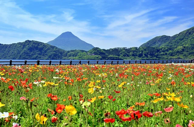 PeachTravelで行く北海道温泉｜定山渓温泉・サッポロピリカコタン