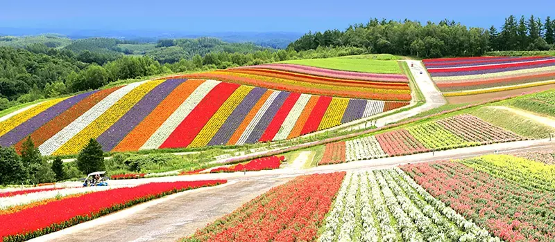 北海道