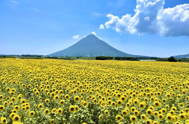 PeachTravelで行く北海道温泉｜定山渓温泉・JOZANKEI NATURE LUMINARIE