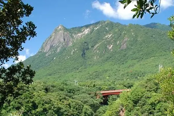 モッチョム岳｜屋久島ツアー・旅行はしろくまツアー