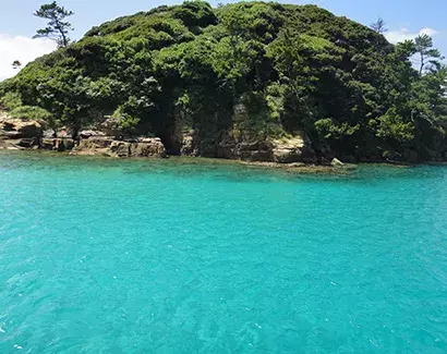 辰の島