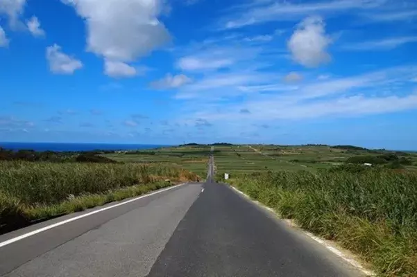 喜界島｜インスタ映えの一本道