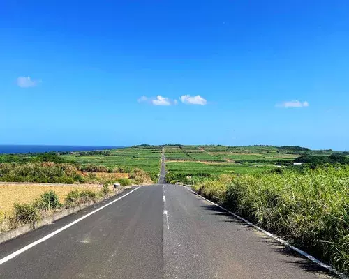 喜界島｜サトウキビ畑の一本道