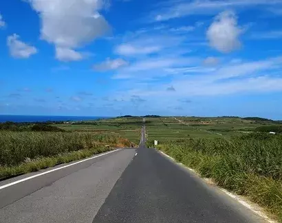 九州｜喜界島旅行・ツアーモデルコース　サトウキビの一本道