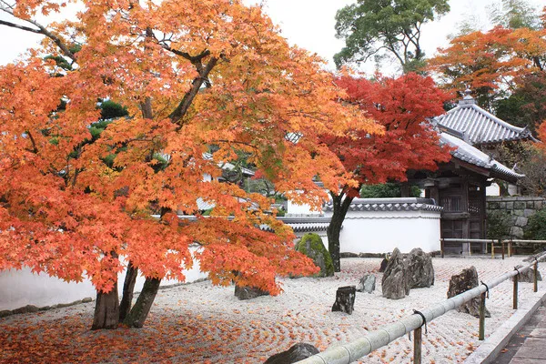 九州｜光明禅寺