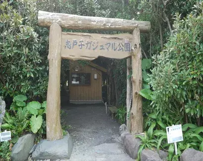 九州｜志戸子ガジュマル公園