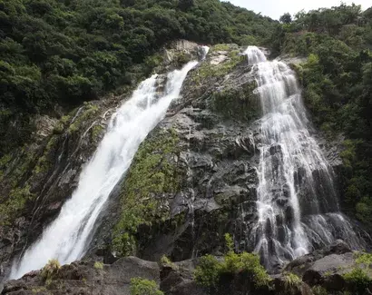 九州｜屋久島 大川の滝