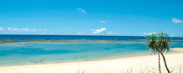 徳之島｜喜念浜海岸