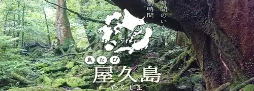 九州｜屋久島旅行・ツアー特集