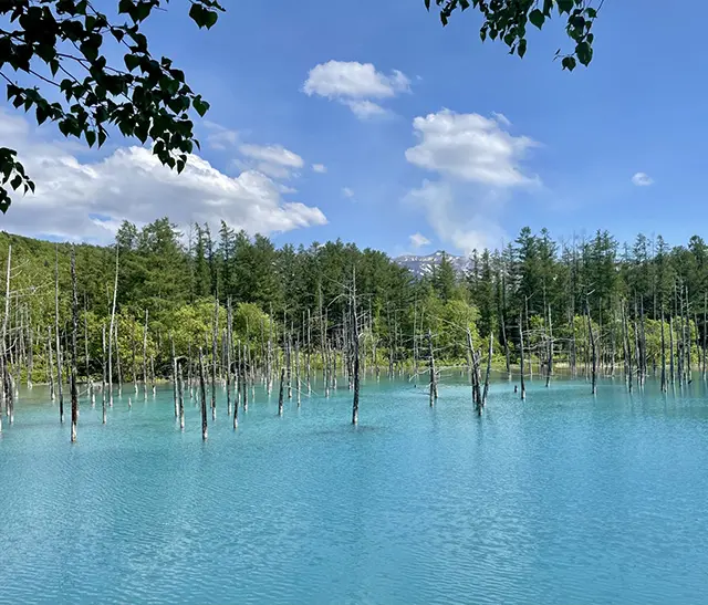 北海道｜道北