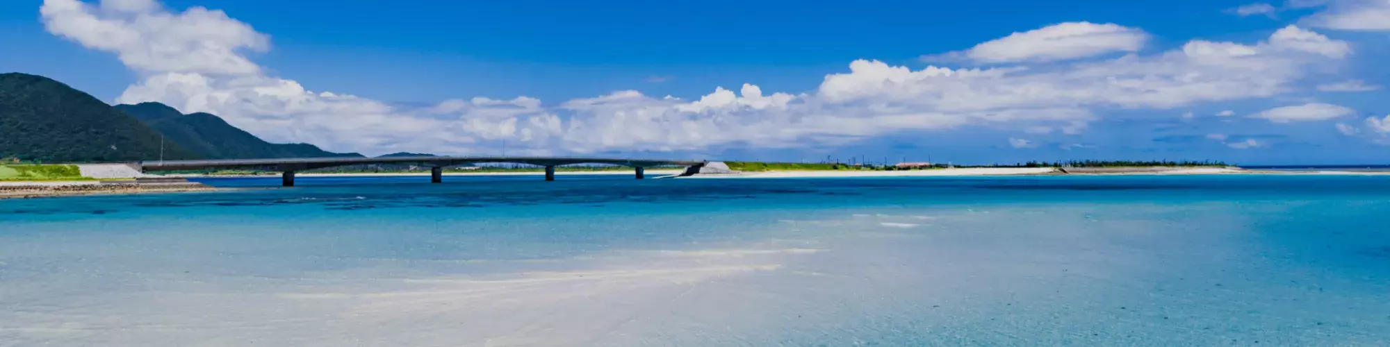 出発月で選ぶ沖縄旅行｜8月